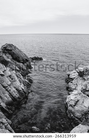 The rocky coastline. Rock in the sea. Black and white