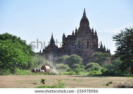 OLD BAGAN, MYANMAR - CIRCA NOVEMBER 2014: Wooden wagon with a team of oxen against pagoda in Old Bagan in Burma, circa November 2014.