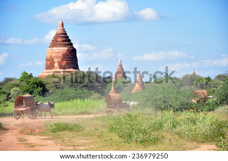 OLD BAGAN, MYANMAR - CIRCA NOVEMBER 2014: Wooden wagon with a team of oxen in the background of pagoda in Old Bagan in Myanmar (Burma) circa November 2014.