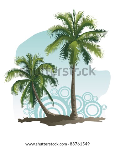 palm tree illustrator