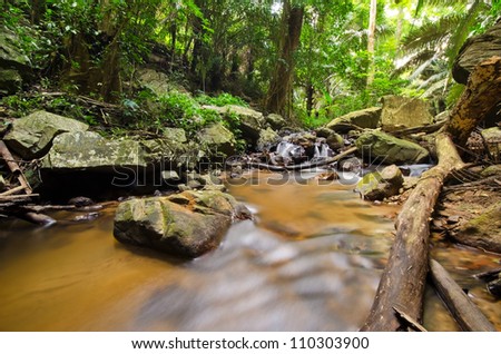 Tropical rain forest streams,Chaloem Rattanakosin National Park , Kanchanaburi, Thailand