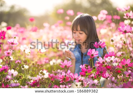 Little asian girl in cosmos flower fields
