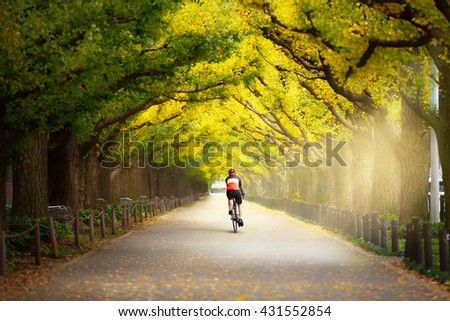 Cyclist on the beautiful gingko trees at the street of Gingko trees, Tokyo Japan, Cyclist ride the bike exercise on nature concept
