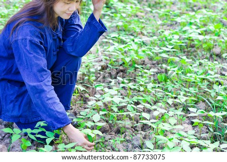 Young woman in farmer suite at cassava field