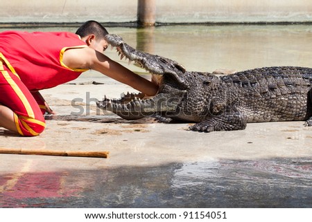 THAILAND, BANGKOK - DECEMBER 19: An unidentified zoo keeper puts a hand in a mouth of the crocodile as part of \