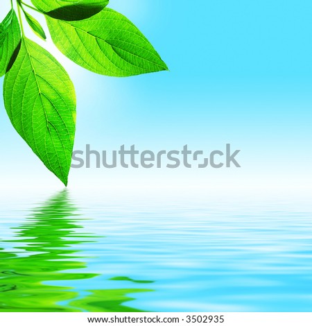 fresh leaf, blue sky and shine water surface (blank space for text)
