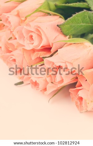Bouquet of pink roses in vintage style, flowers border