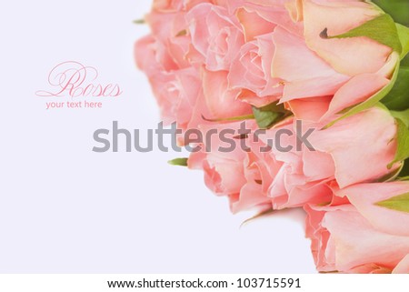 Bouquet of pink roses isolated on white background, flowers border