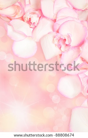 Pink rose petals border