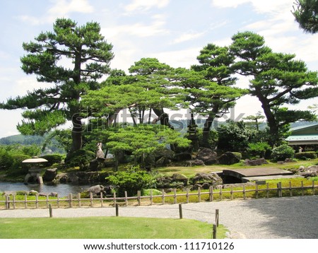 Trees in Kenrokuen Garden - Japan One of the three most beautiful gardens in Japan