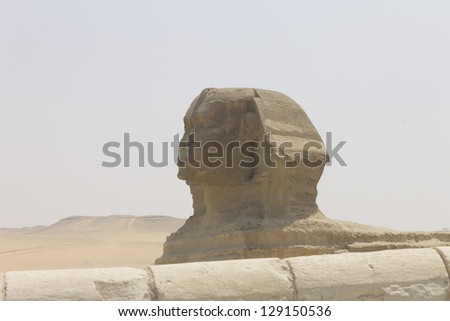 The head of The Great sphinx