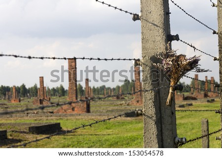 AUSCHWITZ, POLAND - AUGUST 24: The flowers on the barbed wire fence of the infamous Auschwitz II-Birkenau, a former Nazi extermination camp and now a museum on August 24, 2013 in Oswiecim, Poland