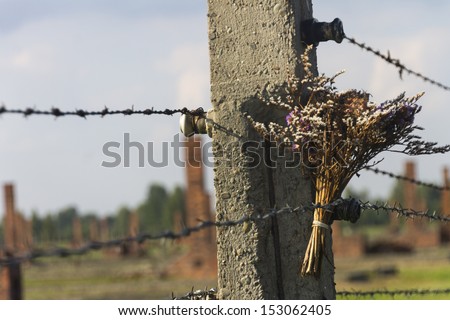 AUSCHWITZ, POLAND - AUGUST 24: The flowers on the barbed wire fence of the infamous Auschwitz II-Birkenau, a former Nazi extermination camp and now a museum on August 24, 2013 in Oswiecim, Poland