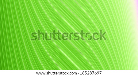 Abstract background with a detailed twisted wavy pattern spiraling around its central axis in high resolution in light green and white colors