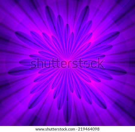 Simple and beautiful high resolution shining bright star/flower wallpaper in pink and purple colors and with a detailed decorative petals around it