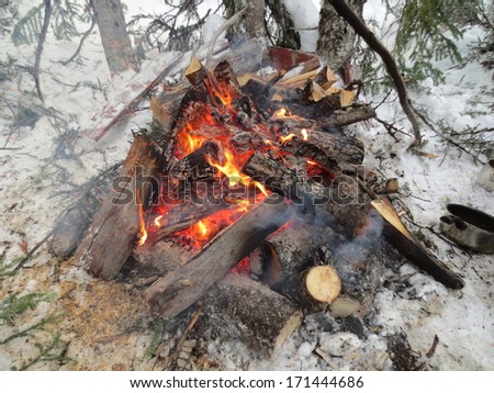 Outdoor Camp Fire in winter - Labrador Campfire