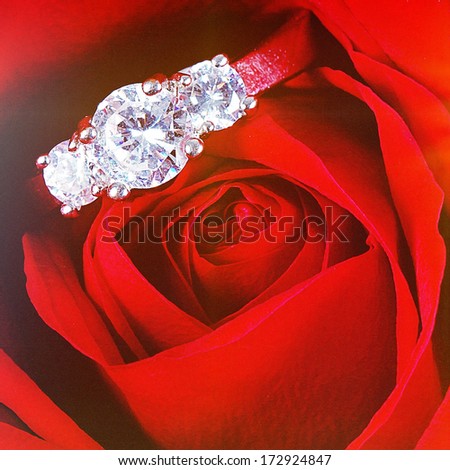 Diamond ring inside red rose taken closeup with effects