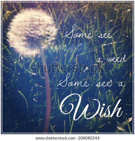 Some see a weed, some see a wish - instagram