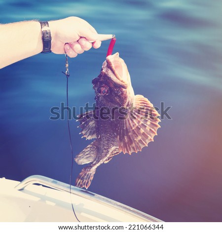 Man holding fish on hook - instagram effect