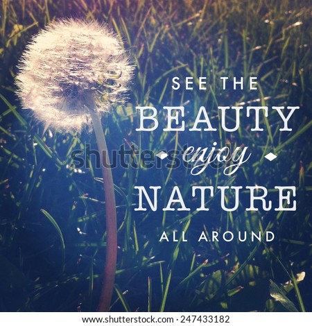 Inspirational Typographic Quote - See the beauty enjoy nature all around