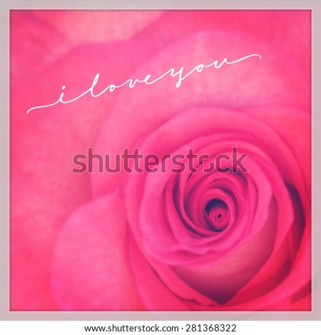 Inspirational Typographic Quote - I love you on Rose (soft Focus)