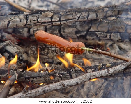 Cooking a wiener over a open fire on a stick