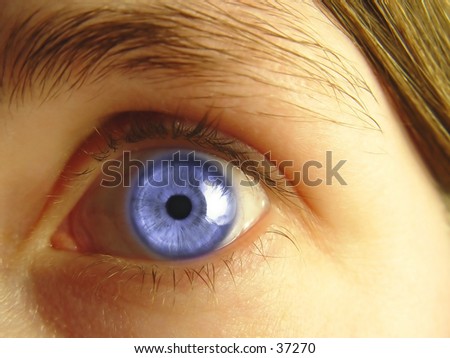 Closeup of a ladies blue eye and part of her face