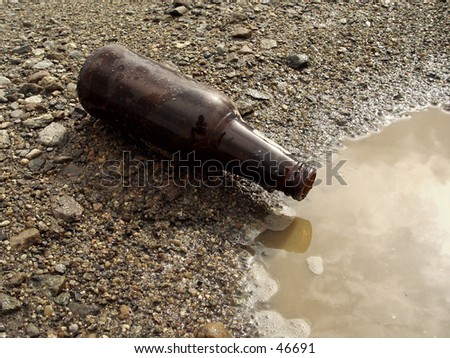 Beer bottle on the ground after a night of a big party