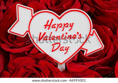 صورة عن عيد الحب Stock-photo-happy-valentines-day-sign-on-red-roses-46995001