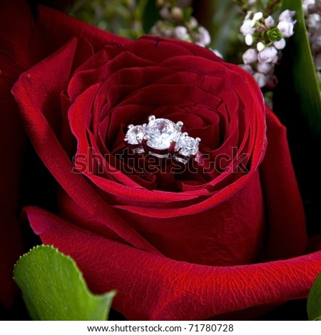 Will you marry me Will you marry me