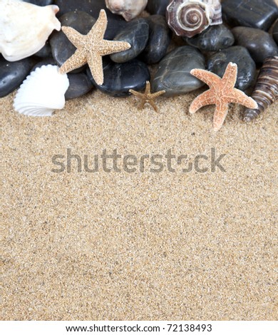 zen spa river rocks and shells on sand in form of border