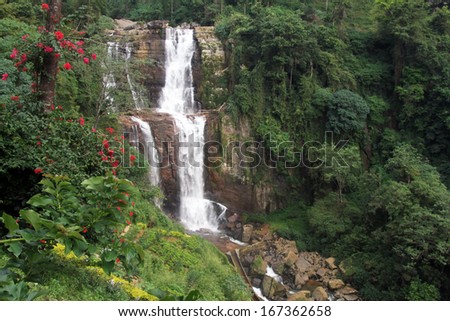 Densr evergreen forest and Ramboda waterfall in Sri Lanka