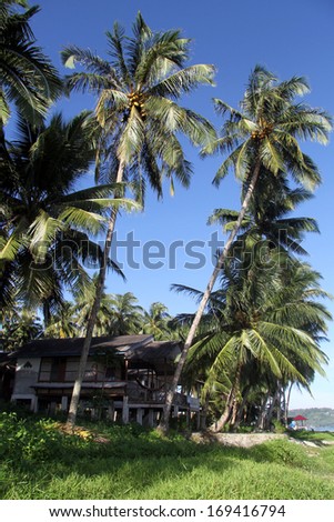 Building under palm trees on the Pantai Sorak beach in Nias, Indonesia