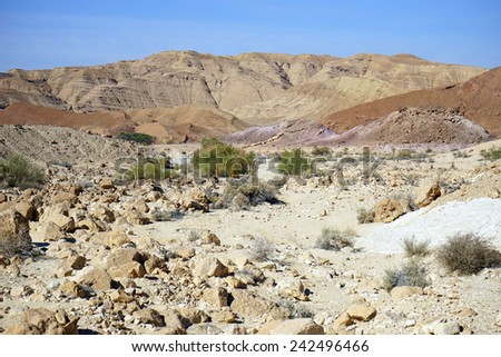 Dry riverbed and mountain near crater Ramon in Negev desert, Usrael