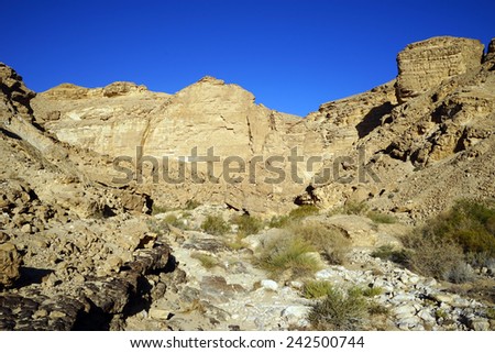 Ravine and mountain in Negev desert. Israel