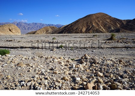 Dry riverbed in Negev desert in Israel