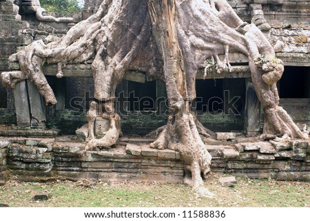 Big temple and big roots