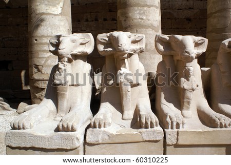 Sheep and columns in Karnak temple in Luxor, Egypt