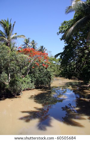 River with brown water in tropical forest, Fiji