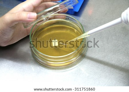 Pipette with drop of sample liquid and petri dishes.