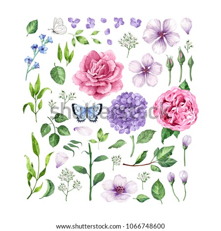 Big set of Flowers (roses, hydrangea, apple tree flowers), leaves, petals and butterflies  isolated on white background. Art vector illustration in watercolor style.