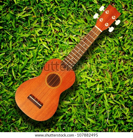 ukulele guitar family from Hawaiian on green grass texture