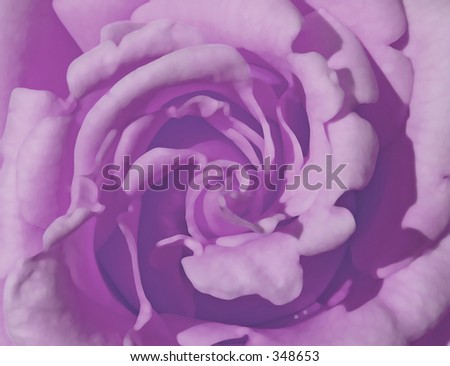 Purple rose in style of oil painting.