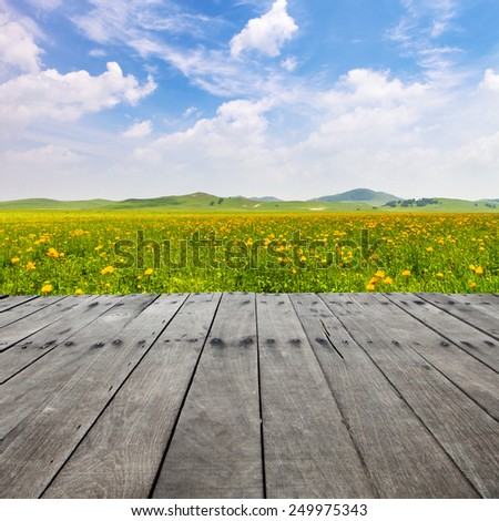 Empty board with sky,meadow and wildflower background
