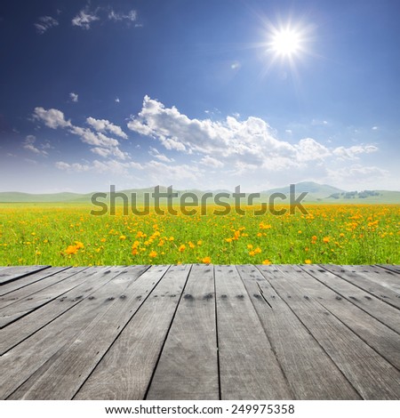 Empty board with sky,meadow and wildflower background