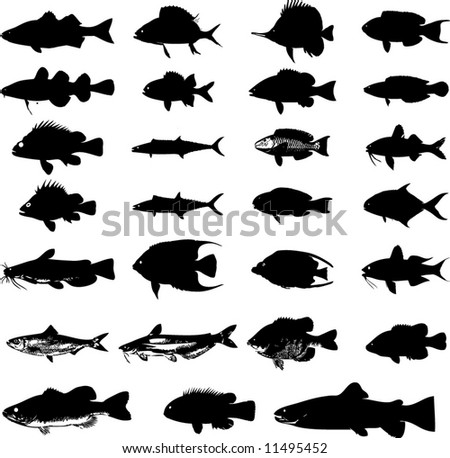 Fish  Animals on Sea Animals Fish Silhouettes Set Stock Vector 11495452   Shutterstock