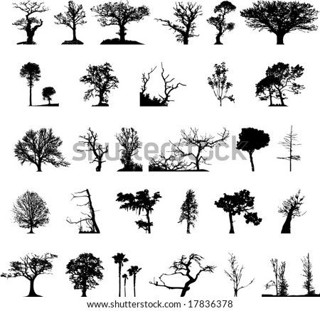 oak tree silhouette clip art. stock vector : Nature tree