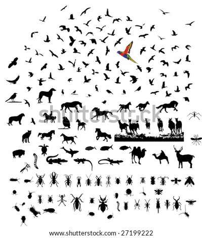 Mixed silhouettes set birds mamals fishes trees insects reptiles