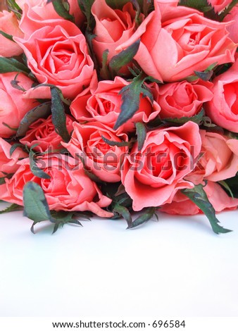 Bunch of pink roses on white table