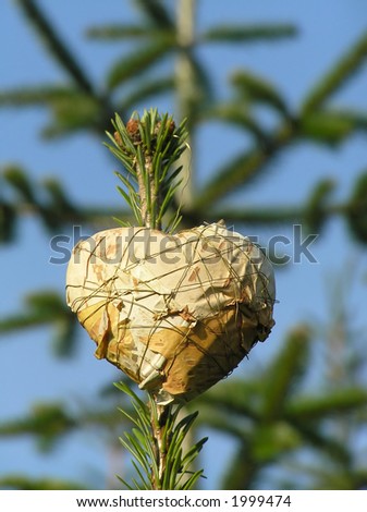 Christmas heart of paper with different kind of ornamentations on a Christmas tree ind the forest